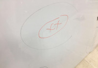 Дверь багажника левая Fiat Ducato OEM 1612597580