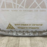 Накладка переднего бампера Renault Sandero Stepway 2 рестайлинг OEM 620727172R