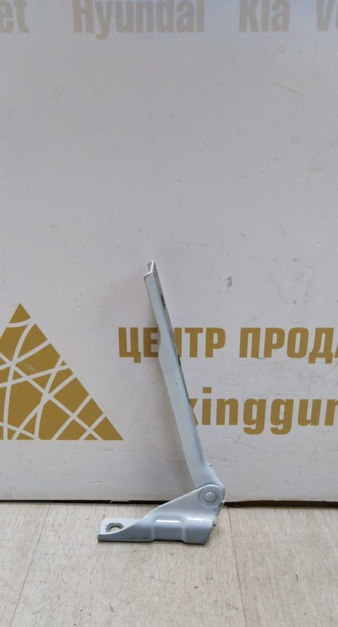 Петля капота левая Volkswagen Polo 5 09-20 oem 6R0823301B Петля капота левая Volkswagen Polo 5 09-20 oem 6R0823301B