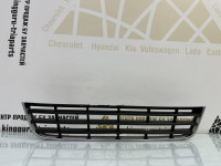 Решетка в бампера на Volkswagen Passat b-6