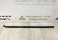 Молдинг дверного стекла задний левый BMW X5 G05 OEM 51357444067