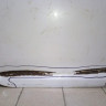 Дверь задняя правая Hyundai Sonata 6 YF oem 770043S000 (скл-3) Дверь задняя правая Hyundai Sonata 6 YF oem 770043S000 (скл-3)