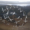 Крышка багажника Volkswagen Tiguan 1 oem 5n0827173 (вмятина) (скл-3)
