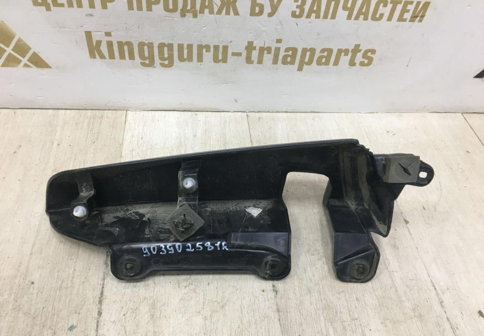 Накладка крыла задняя левая Renault Dokker OEM 903902581R