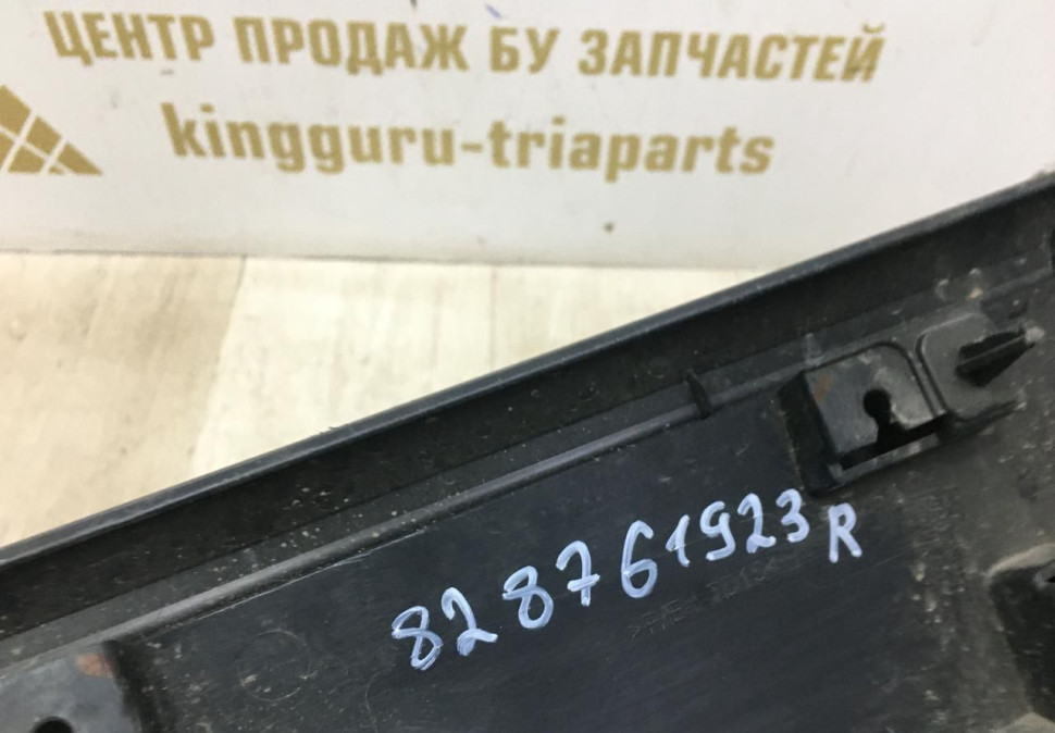 Молдинг двери задний правый Renault Arkana 2019  OEM 828761923R