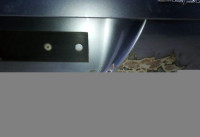 Крышка багажника Skoda Octavia A5 универсал OEM 1Z9827023B (скл-3)