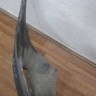 Бампер передний Volkswagen Caddy 4 oem 2k5807221 (дефект)