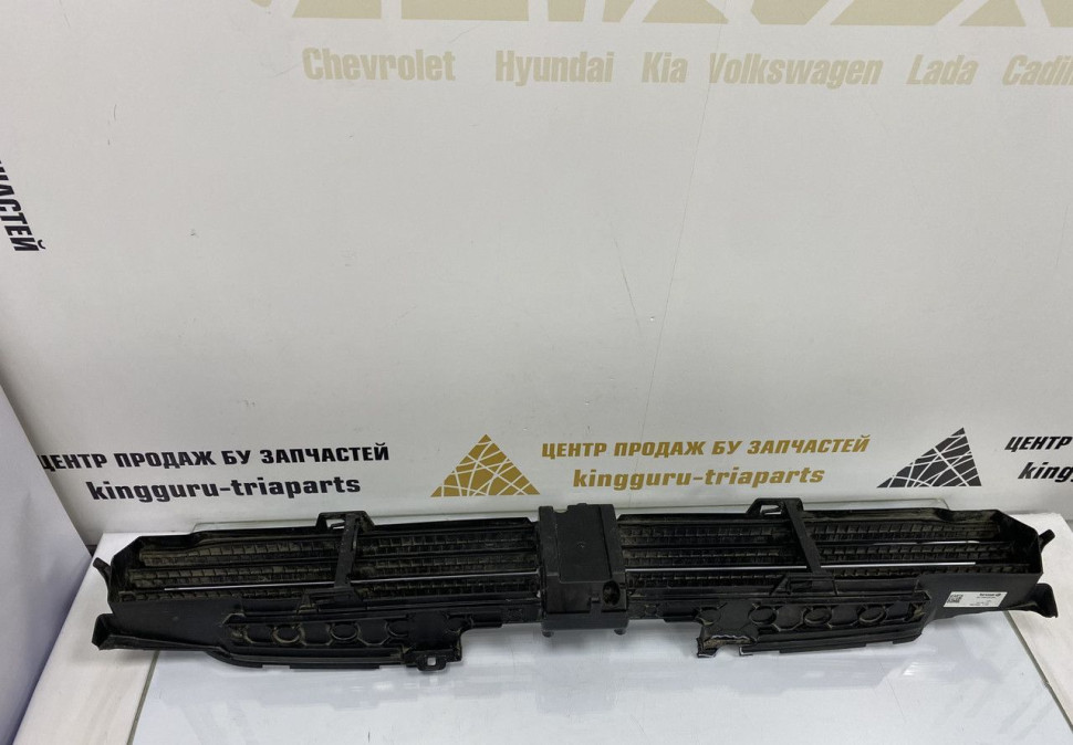 Жалюзи воздуховода нижние BMW X3 G01 OEM 51137497231 Жалюзи воздуховода нижние BMW X3 G01 OEM 51137497231