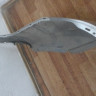 Бампер задний бу Skoda Rapid OEM 60U807421B (В) Бампер задний бу Skoda Rapid OEM 60U807421B (В)