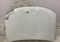 Капот  Renault Duster 2010 OEM 651000987R