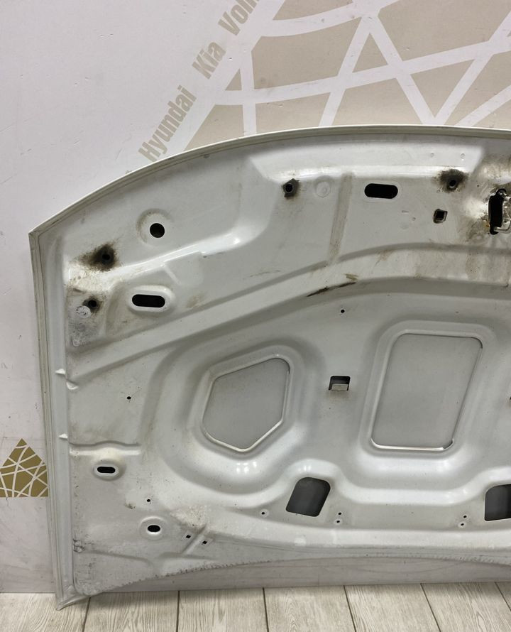 Капот  Renault Duster 2010 OEM 651000987R