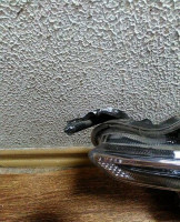 ПТФ передний левый Kia Rio 4 рестайл сломано два крепления oem 922014y600 (скл-3)