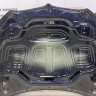 Капот BMW Х5 G05 OEM 41007492375