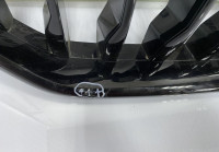 Решетка радиатора BMW X6 G06 OEM 51137481386