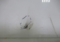 Бампер задний Volkswagen Golf Plus (09-14) oem 5M0807421 (трещина) (скл-3)