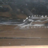 Дверь передняя правая Volkswagen Tiguan 1 oem 5n0831056b (вмятина)