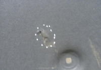 Шумоизоляция капота бу BMW 7 F01 OEM 51486989300