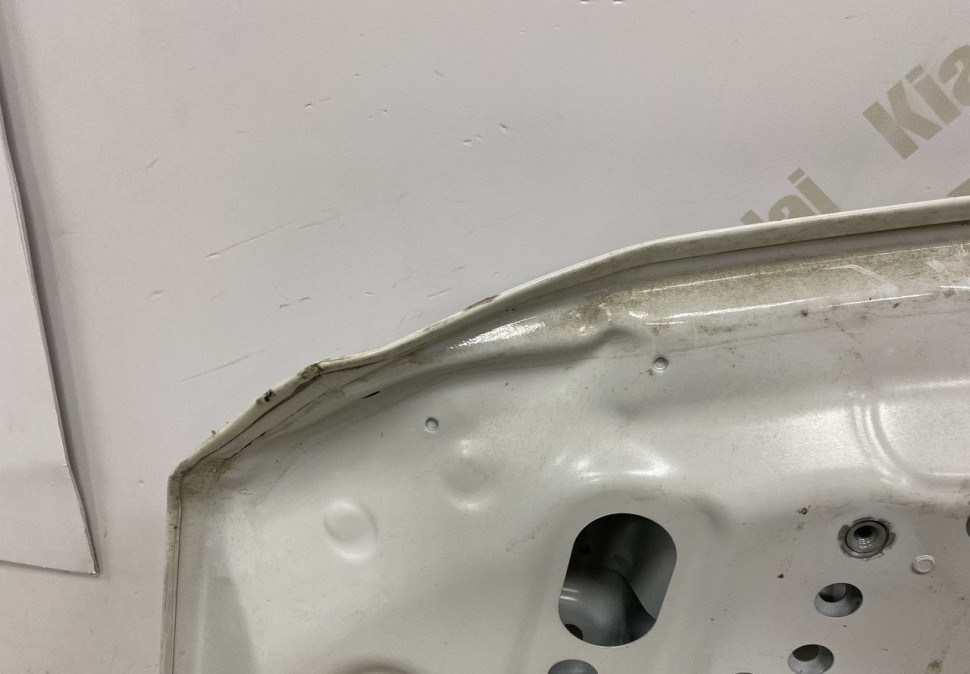 Капот BMW X2 F39 OEM 41007484213