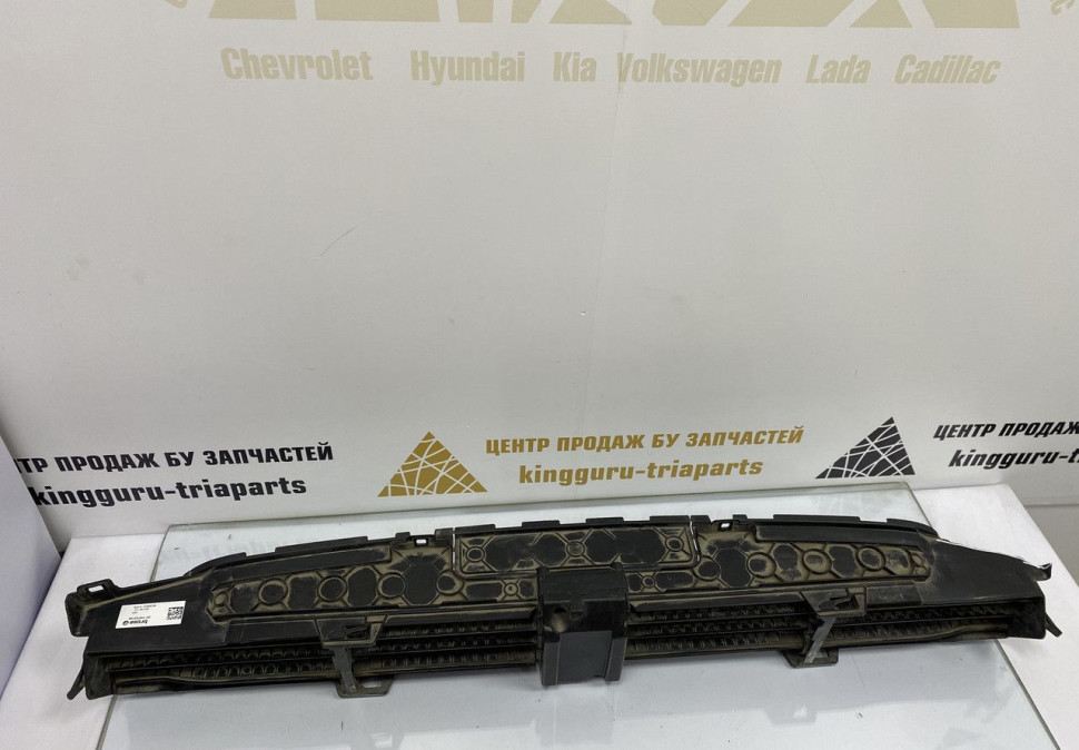 Жалюзи воздуховода нижние BMW X3 G01 OEM 51137497231 Жалюзи воздуховода нижние BMW X3 G01 OEM 51137497231