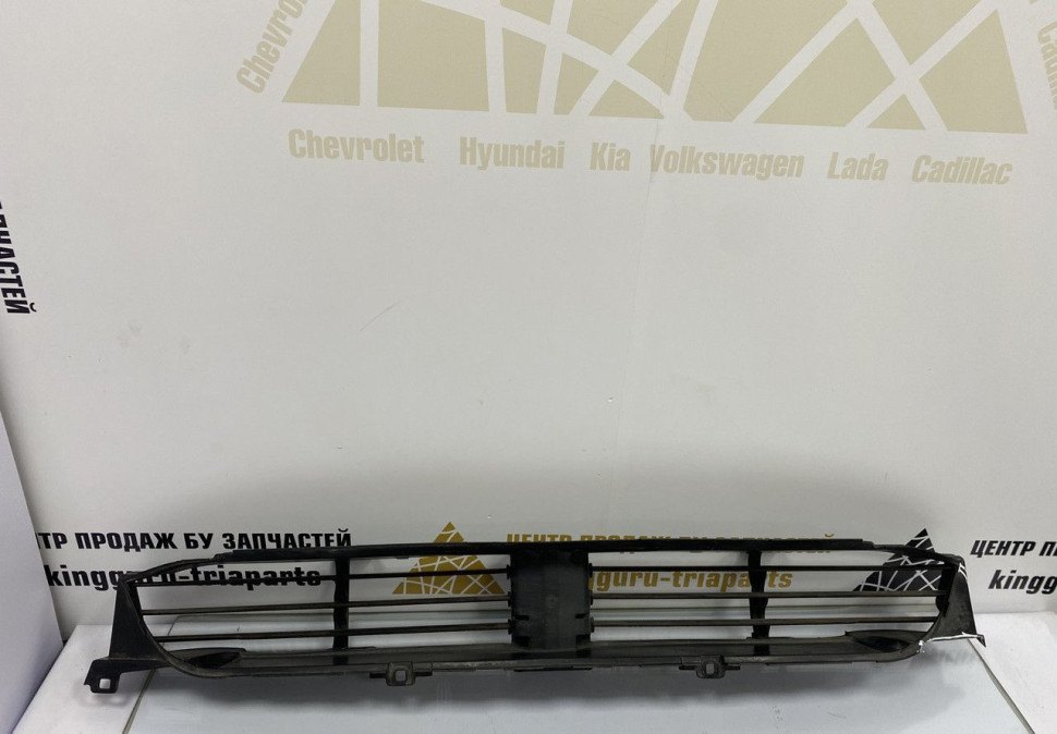 Жалюзи воздуховода нижние BMW X3 G01 OEM 51137497231 Жалюзи воздуховода нижние BMW X3 G01 OEM 51137497231