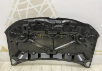 Капот  Renault Duster 2 OEM 651003244R