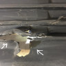 Бампер передний Volkswagen Transporter T6 15-20 oem 7e0807221D (скл-3) Бампер передний Volkswagen Transporter T6 15-20 oem 7e0807221D (скл-3)