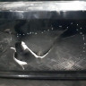 Бампер задний Volkswagen Polo 5   oem 6RU807421