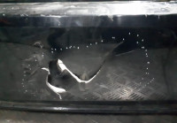 Бампер задний Volkswagen Polo 5   oem 6RU807421