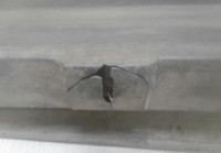 Накладка заднего бампера левая  для Uaz Pickup 1 рестайлинг  (трещ) (скл-3)