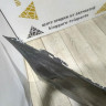 Бампер задний бу BMW 5 G30 M-Pack OEM 51128064711