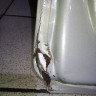 Дверь задняя правая Hyundai Santa Fe 3 12-18 oem 770042W000 (скл-3) Дверь задняя правая Hyundai Santa Fe 3 12-18 oem 770042W000 (скл-3)