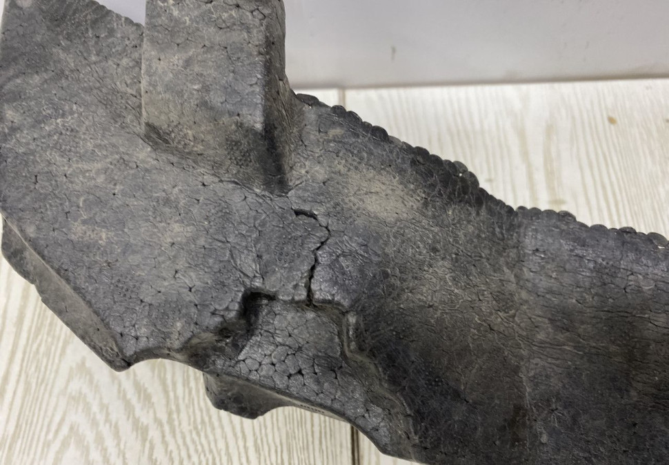 Абсорбер переднего бампера BMW X7 G07 M-Pack OEM 51118070172 Абсорбер переднего бампера BMW X7 G07 M-Pack OEM 51118070172