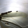 Дверь задняя правая Hyundai Santa Fe 3 12-18 oem 770042W000 (скл-3)