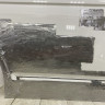 Дверь передняя левая Volkswagen Transporter T6 2015 oem 7E0831055C