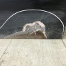 Дверь сдвежная левая Volkswagen Multivan / Caravelle T5 /T6 2015> oem 7E0843107T Дверь сдвежная левая Volkswagen Multivan / Caravelle T5 /T6 2015> oem 7E0843107T