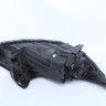 Фара левая Kia Rio 4 рестайл oem 921014x501 (слом. часть корпуса, 1 крепл.)