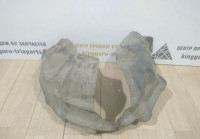 Подкрылок задний левый бу Renault Kaptur OEM 767496147R