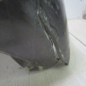 Бампер передний Toyota Land Cruiser Prado 150 дорест oem  521196A941 (Скл-3)