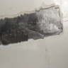Капот Chevrolet Epica oem 96636344 (скл-3)