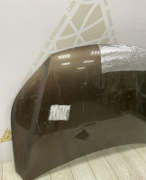 Капот Volkswagen Tiguan 1 2007 OEM 5N0823031A