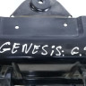 Панель передняя  Genesis G90 oem 64101D2050