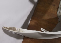 Бампер передний бу Renault Logan 1 OEM 8200916703