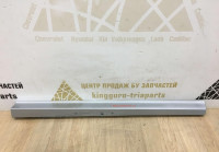 Молдинг двери передний правый BMW X3 G01 M-Pack OEM 51138064796