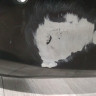 Бампер задний бу Opel Insignia до рестайлинг OEM 13238744