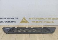 Решётка переднего бампера бу BMW X1 E84 OEM 51117303752