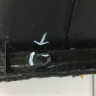 Крышка багажного отделения правая BMW X5 G05 OEM 51477480680 Крышка багажного отделения правая BMW X5 G05 OEM 51477480680