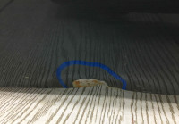 Крышка багажника Hyundai Santa Fe 4 2018 OEM 72800S1100