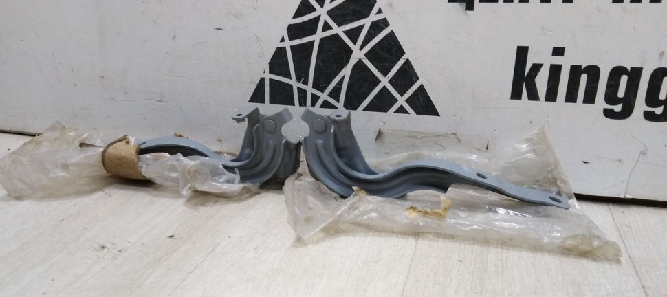 Петли капота Kia Rio 4 FB 2017> oem 79120H0000 79110H0000