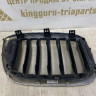 Решетка радиатора левая BMW X3 G01 OEM 51137464919